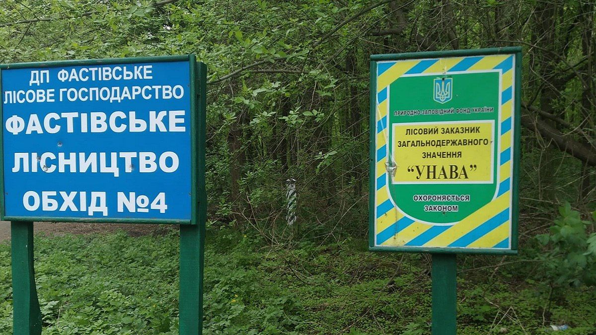 Під Києвом могли незаконно захопити 1000 гектарів лісу: триває суд