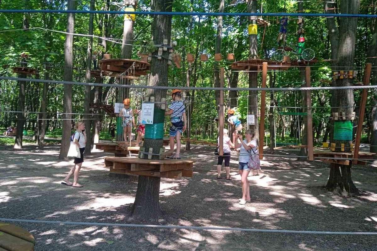 МАФи у Голосіївському лісі зводить улюблений інвестор Київради: що про нього відомо 3