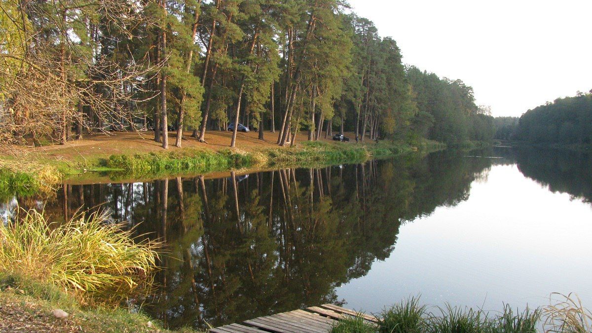 Фірма екс-нардепа Андрієвського знову просить про оренду землі у Пуща-Водиці в Києві