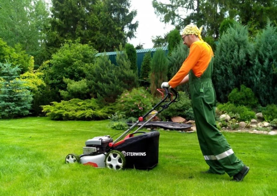 Не косити траву, прибрати МАФи, робота транспорту: про що кияни просили у Кличка за місяць 1