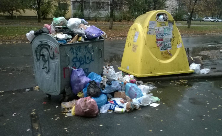 Не косити траву, прибрати МАФи, робота транспорту: про що кияни просили у Кличка за місяць 6