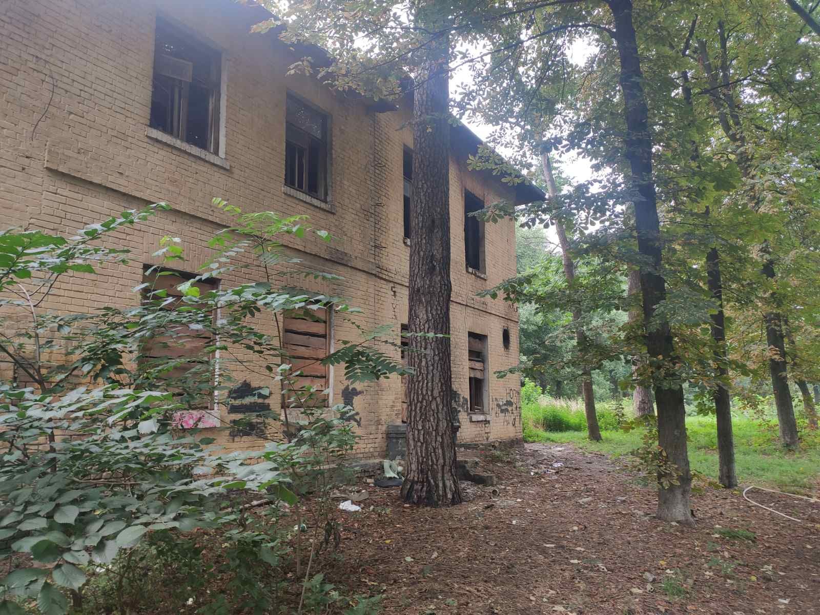 Дача Бахарєва розташована прямо посеред лісу