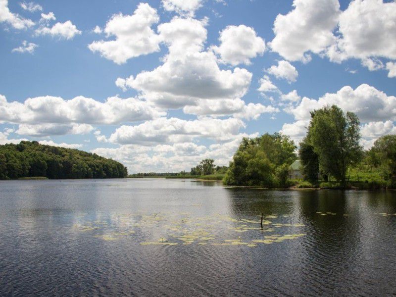Пейзажі річки Ірпінь