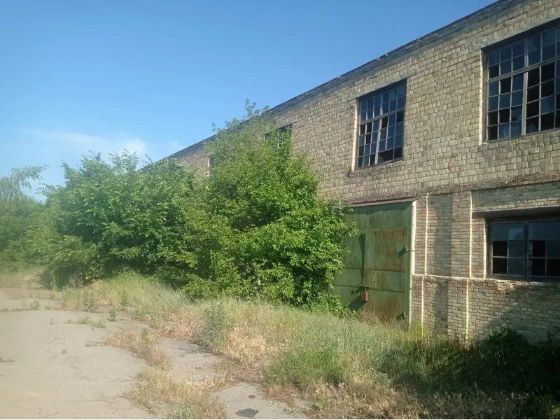 Дешевше за квартиру: під Києвом виставили на продаж спиртзавод 3
