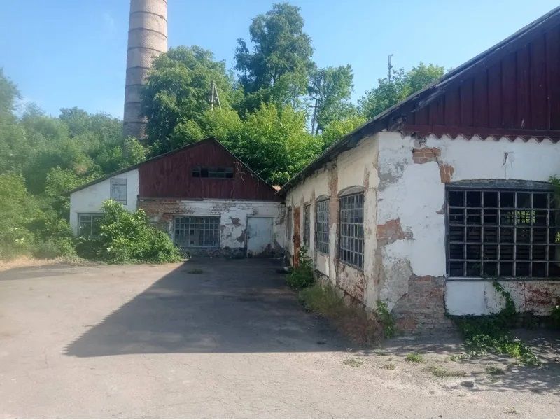 Дешевше за квартиру: під Києвом виставили на продаж спиртзавод 6
