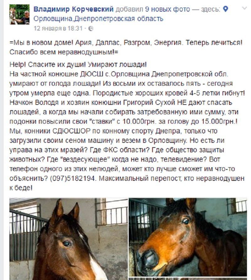 Как в Орловщине спасали лошадей от голодной смерти 1