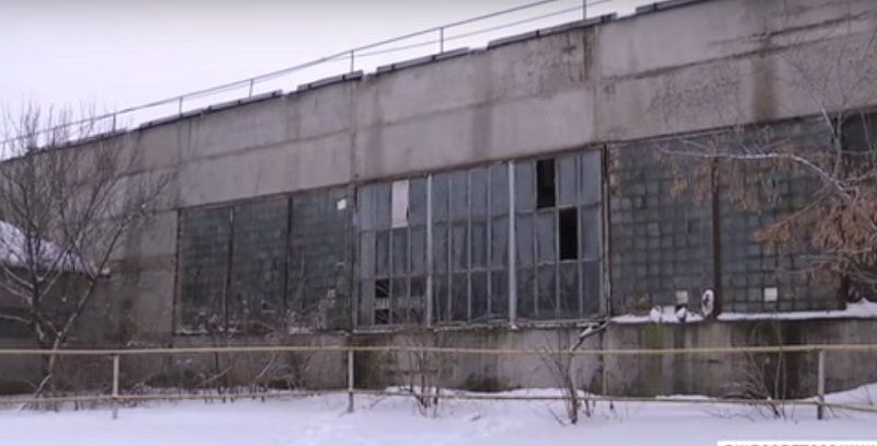 Как в Орловщине спасали лошадей от голодной смерти 2