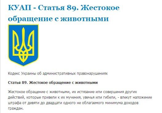 Как в Орловщине спасали лошадей от голодной смерти 3