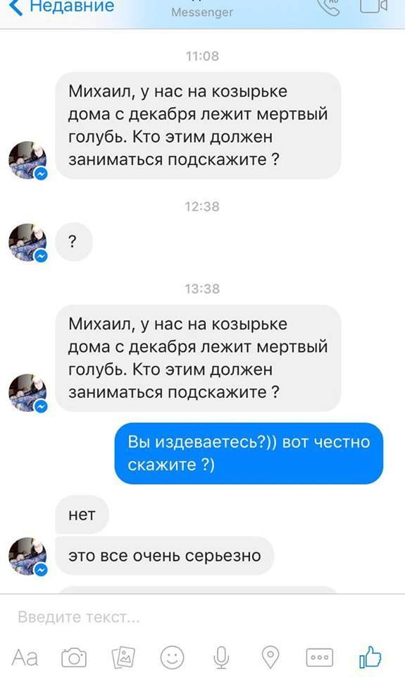 Что же делать с мертвым голубем? 1