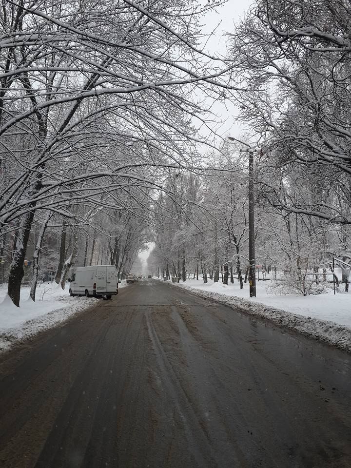 Заммэра Днепра подвел итоги первой половины зимы 4