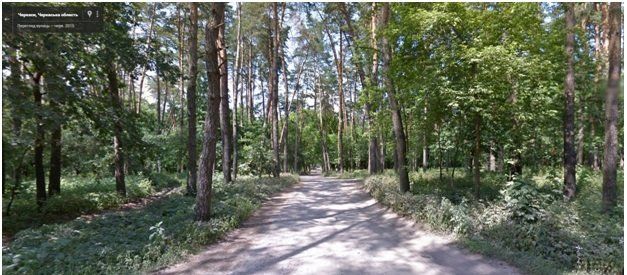 Асфальтний пиріг від шефа. Результати 2016 року 3