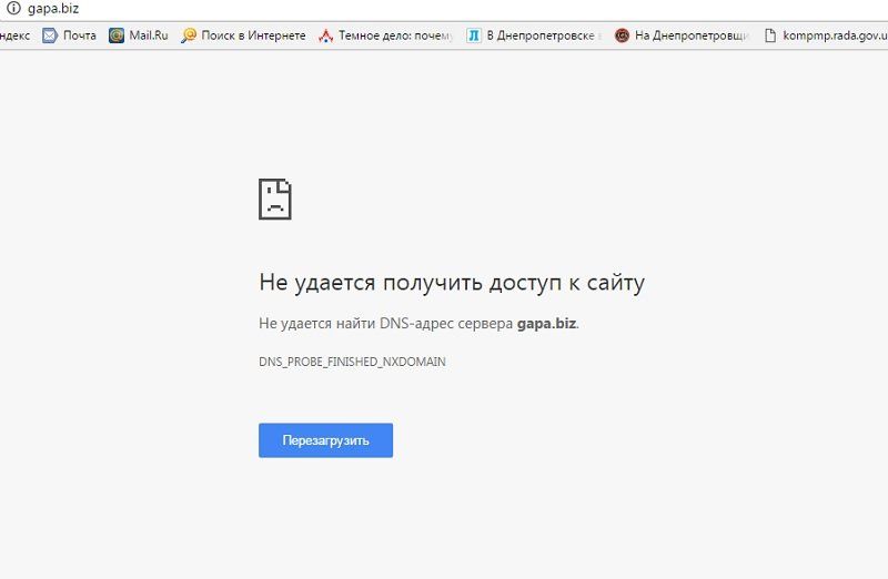 Скандал вокруг авторских прав художницы Евгении Гапчинской 1