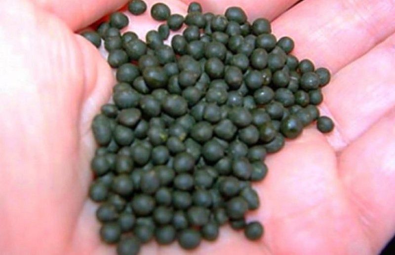 Легальный наркотик захватывает школы Днепра 1