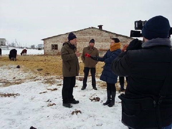 Как в Александровке спасали коров от голодной смерти 1