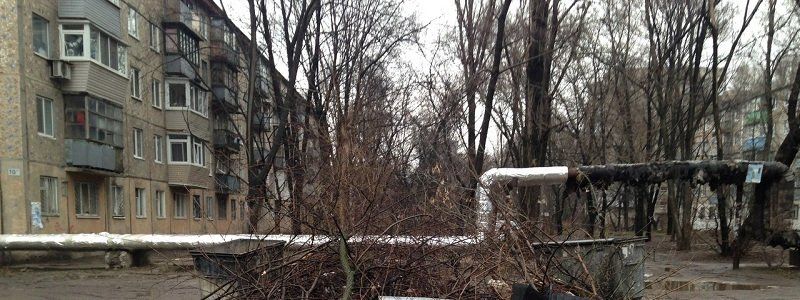 Индустриальный райсовет: странности обрезки деревьев, вывоза мусора и покупки машин