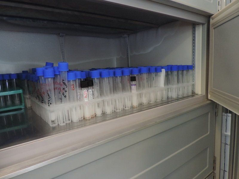 Почему врет радужная статистика по туберкулезу на Днепропетровщине? 5