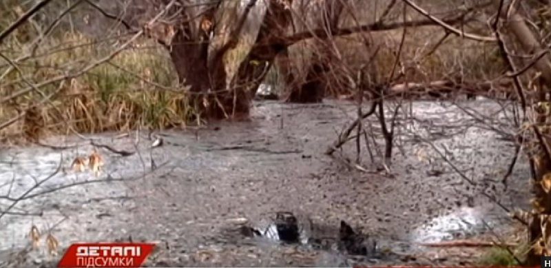 Экологическая катастрофа в Елизаветовке волнует только экологов? 2