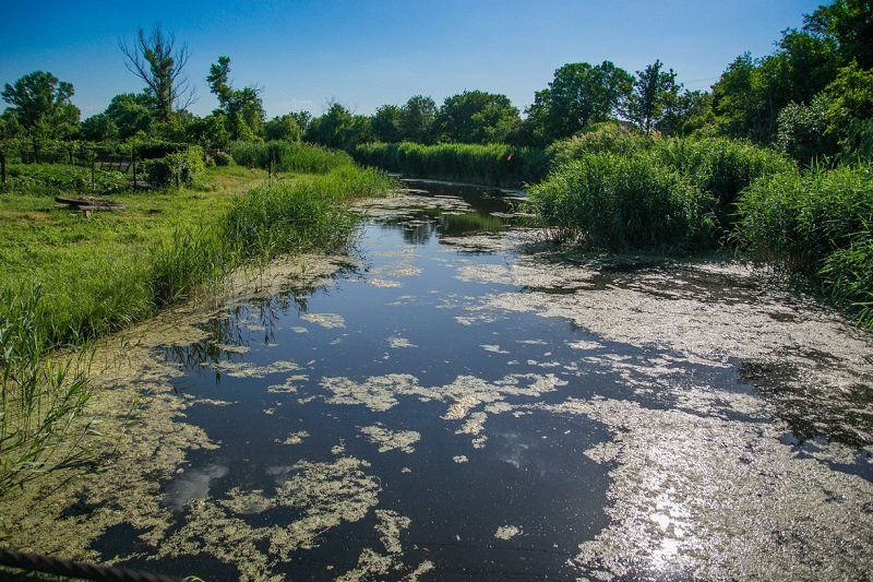 Чем гордится директор Департамента экологии ДнепрОГА Руслан Стрелец 4