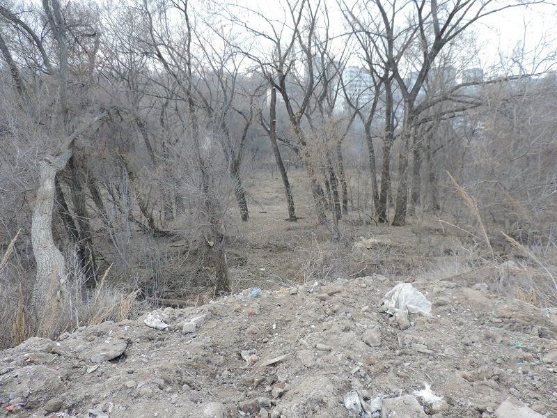 Почему я не куплю квартиру на проспекте Поля 8