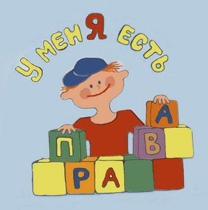 Вас обвинили в нарушении ПДД. Что делать? 2