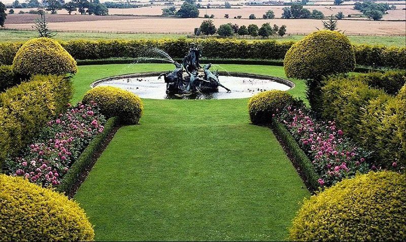 К осени Днепр превратится в цветущий сад 1