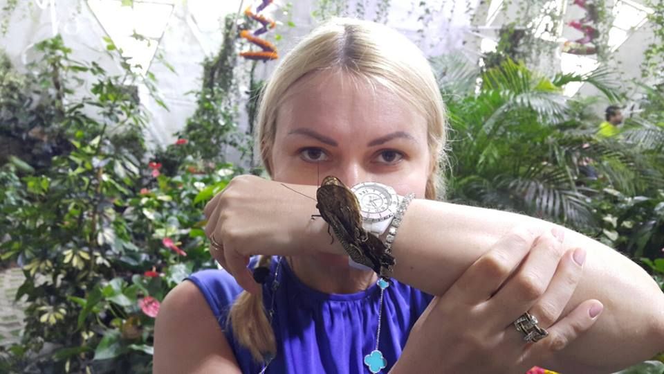 Личные финансовые итоги 2016 года мэра Днепра и его замов 4