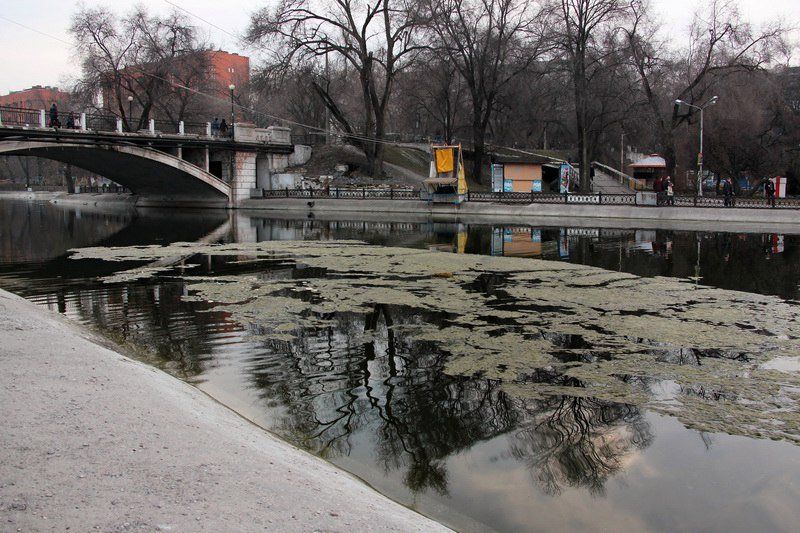 Парк Глобы: жизнь от елки до елки 5