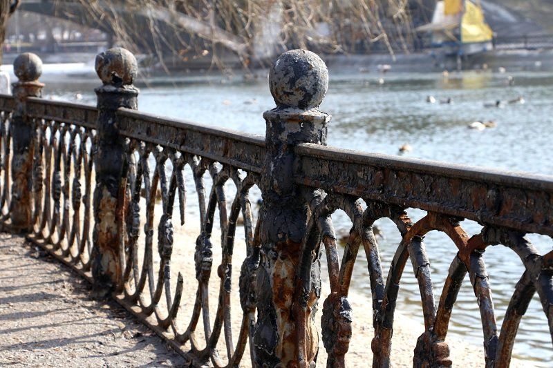 Парк Глобы: жизнь от елки до елки 6