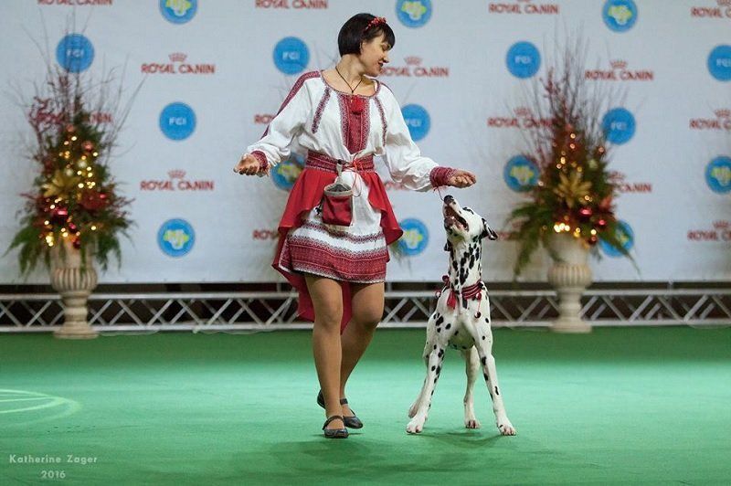 В Днепре состоятся соревнования по танцам с собаками 1