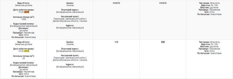 Как живет глава АНД-района в Днепре. Чтоб нам так жить! 1