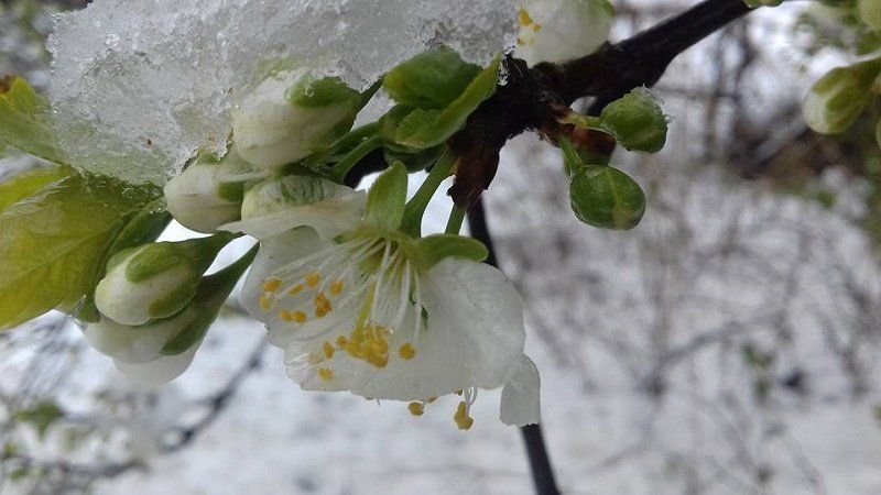 Борис Филатов рассказал, как Днепр борется с непогодой 4