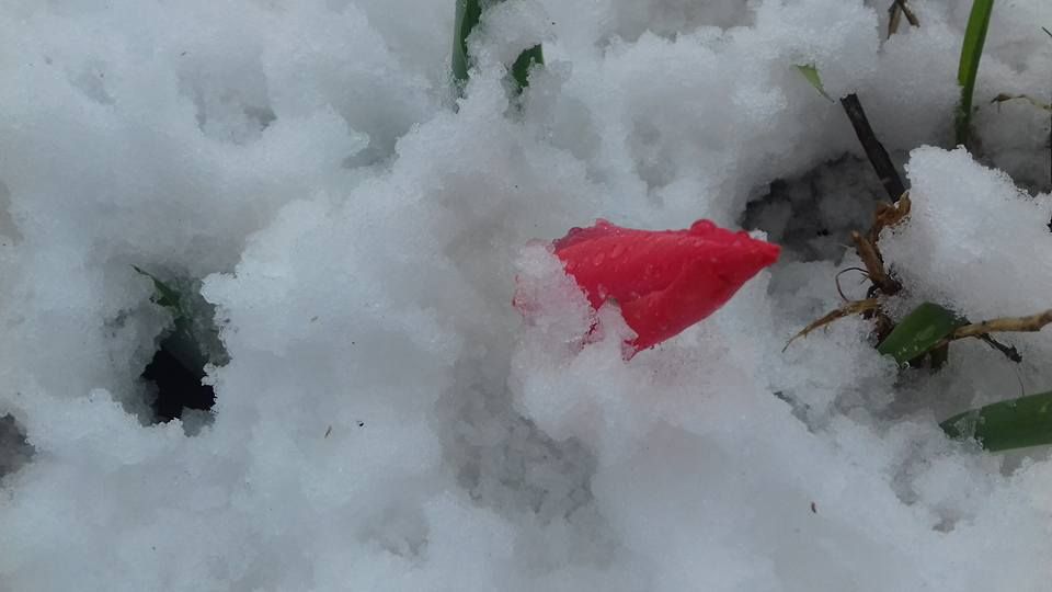 Борис Филатов рассказал, как Днепр борется с непогодой 13