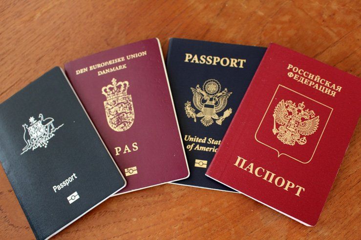 Кем надо быть, чтобы лишиться гражданства Украины 6