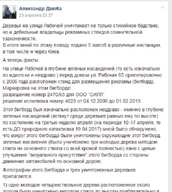 Как спасти городские деревья от уничтожения и порчи. Инструкция 1
