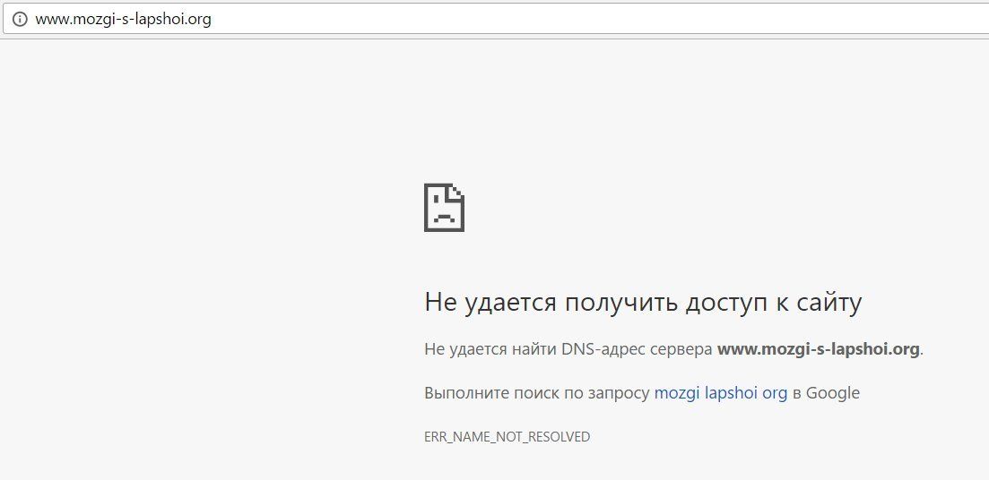 Мозги с лапшой сдаем в аренду! 3