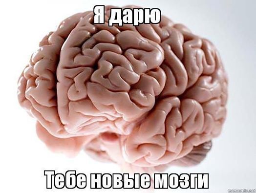 Мозги с лапшой сдаем в аренду! 5