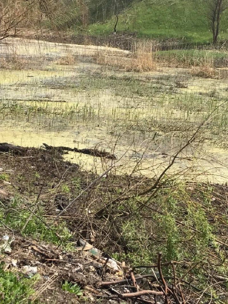 Депутата от БПП «Солидарность» обвиняют в экокатастрофе 1