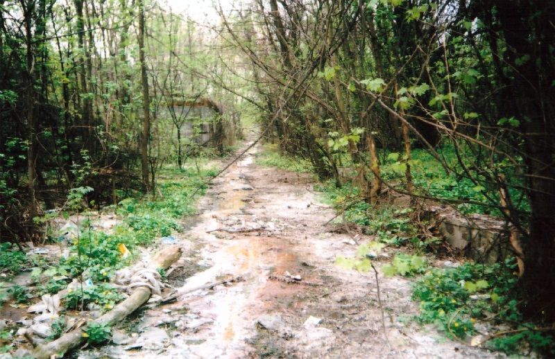 Парк 40-летия освобождения Днепра от фашистов заливает фекалиями 1