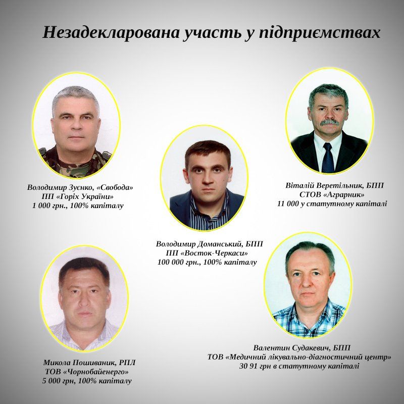 Мовою мільйонів говорять декларації депутатів Черкаської обласної ради 4