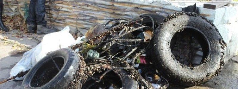 Водоемы Днепропетровщины превращаются в помойку