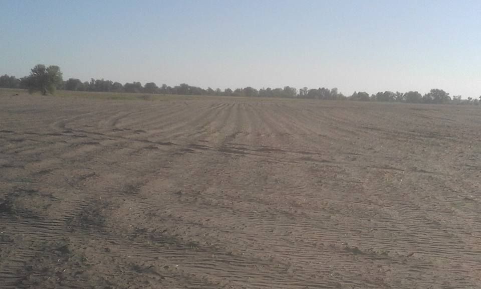 Беспилотник показал, кто отравляет землю и воду в Приорелье 1