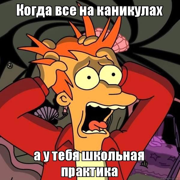 В Минобразования летнюю практику назвали «принудительным трудом» 2