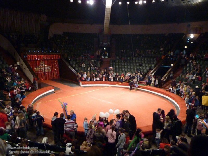 Стационарный цирк - непозволительная роскошь? 3