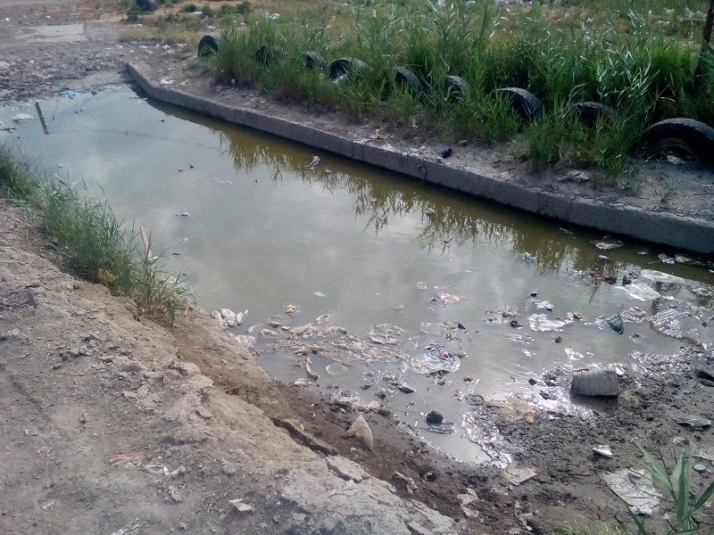 Прогулки в «мусорных горах» 2