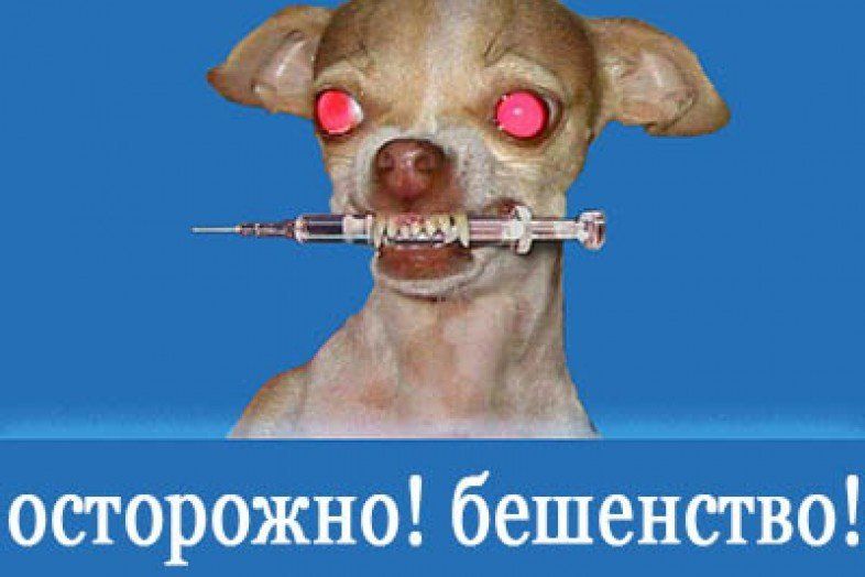 Бешенство в цифрах 1