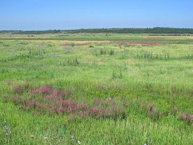 Днепропетровский облсовет собирается устроить свалку между двух заказников 5