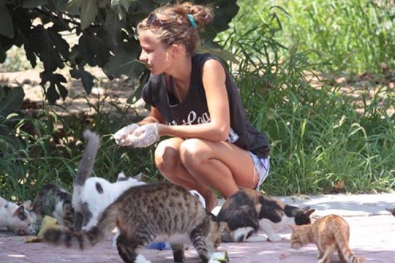 В КП Днепра научат, как правильно любить котиков 4