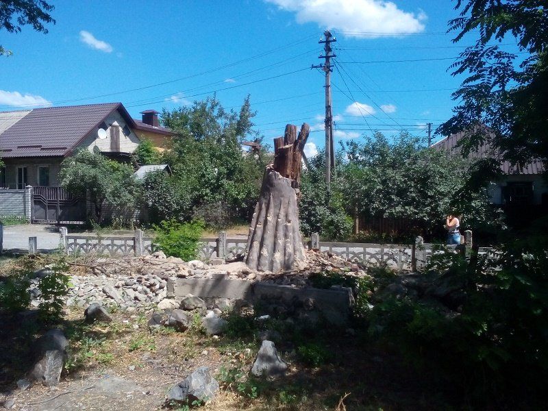 Парки левобережья Днепра: бесхозные и ухоженные 4