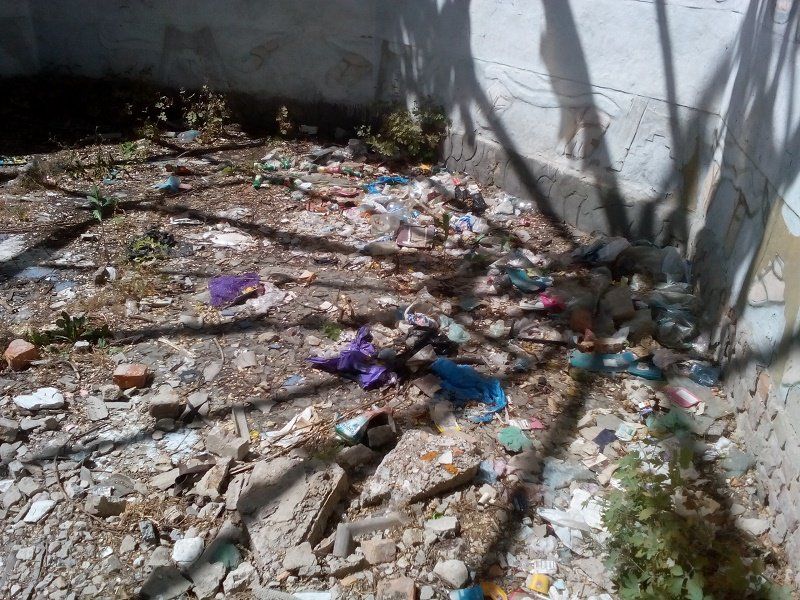 Парки левобережья Днепра: бесхозные и ухоженные 6