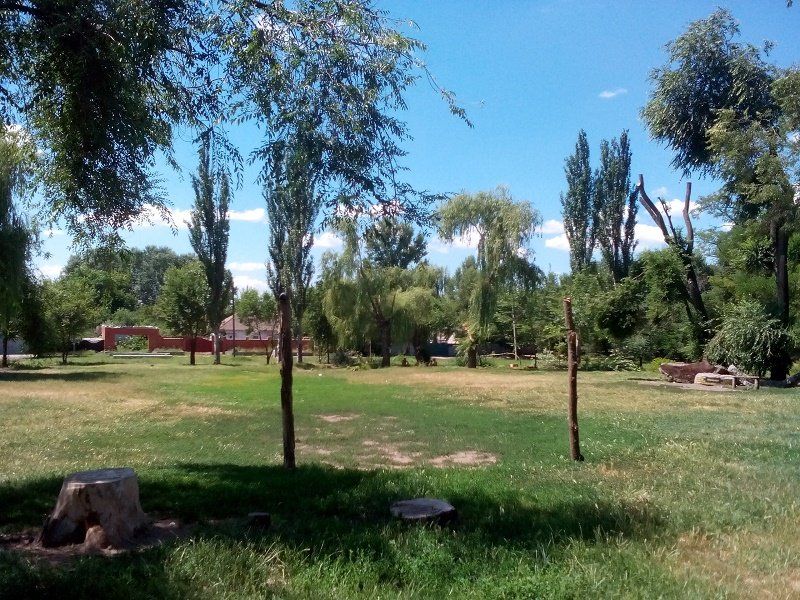 Парки левобережья Днепра: бесхозные и ухоженные 7